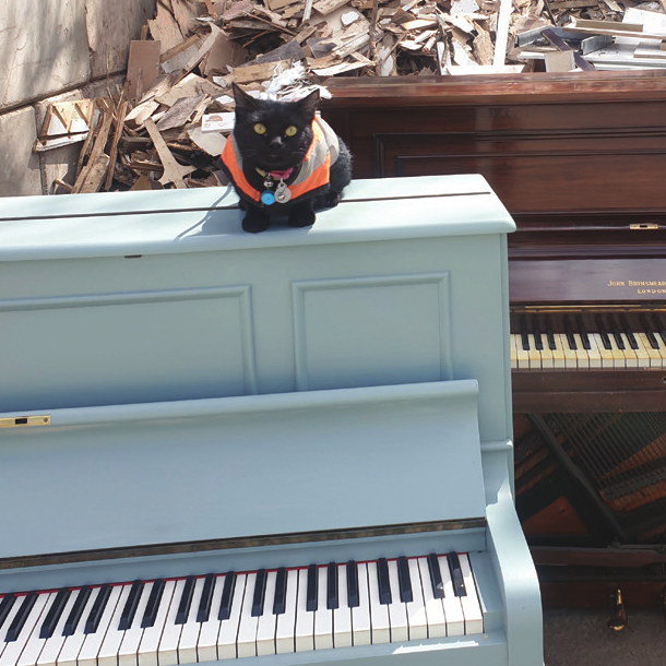 Piano Recital article | JWitt Waste Recycling